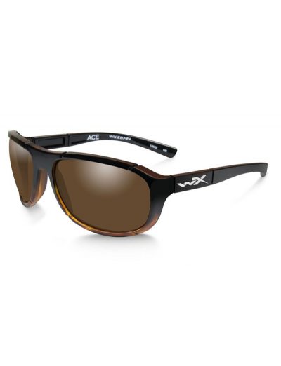 ACE POL BRONZE LENS/GLOSS TORT FADE FRAME