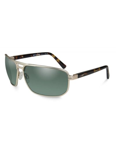 HAYDEN POL GREEN LENS/SATIN GOLD FRAME