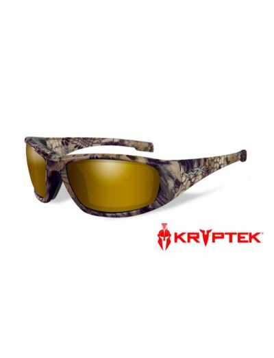 BOSS POL VENICE GOLD MIRROR / KRYPTEK HIGHLANDER FRAME